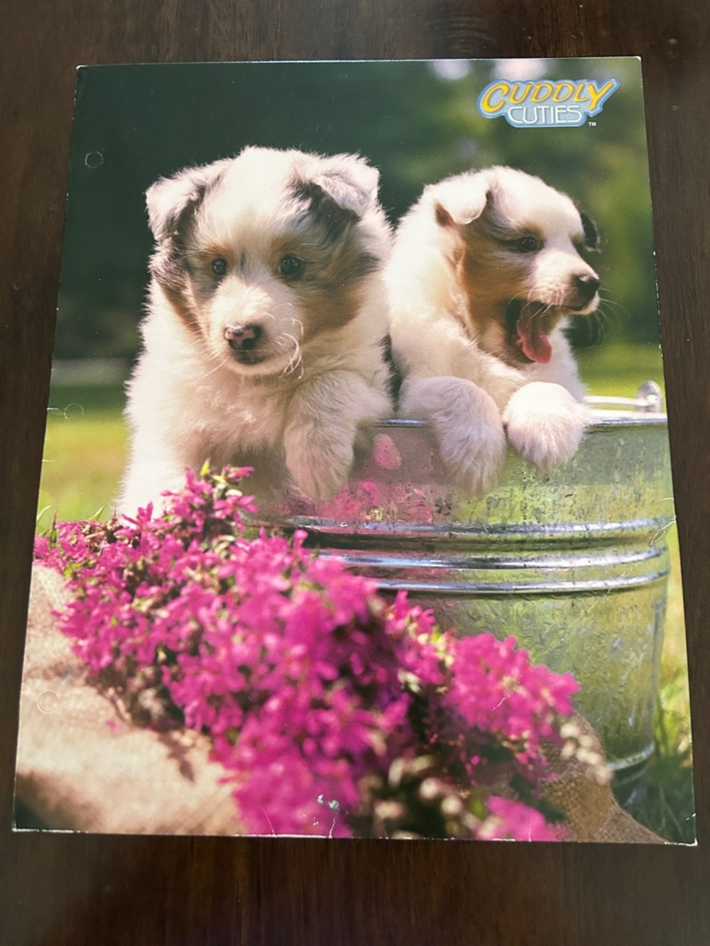 Cuddly Cuties Vntg Puppy Folder Cream & White Puppies & Puppy on back cover